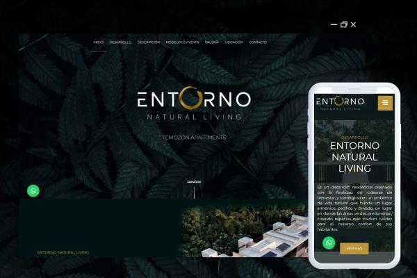 Entorno